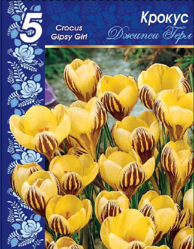 Крокус Джипси Герл 1 уп. (3 шт.) 